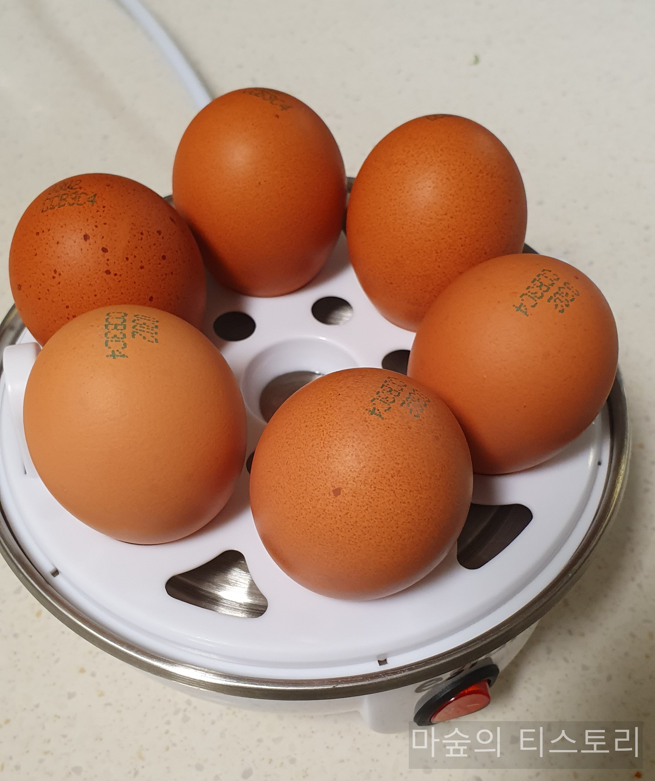 계란찜기_달걀조리기_ 이스타 2단 멀티 ES-EB100