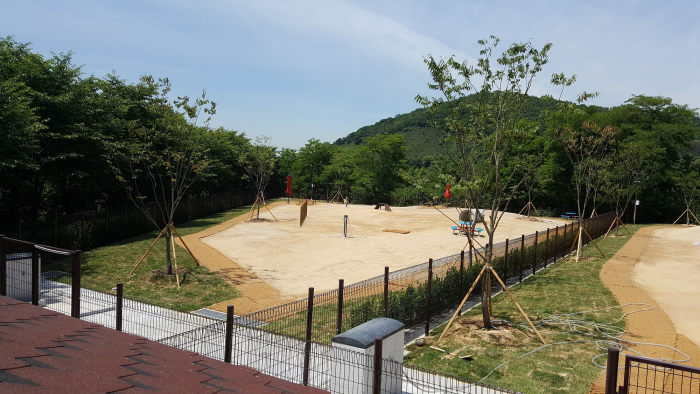 서울&middot;인천&middot;부천 반려동물 놀이터 추천 &amp; 이용 꿀팁