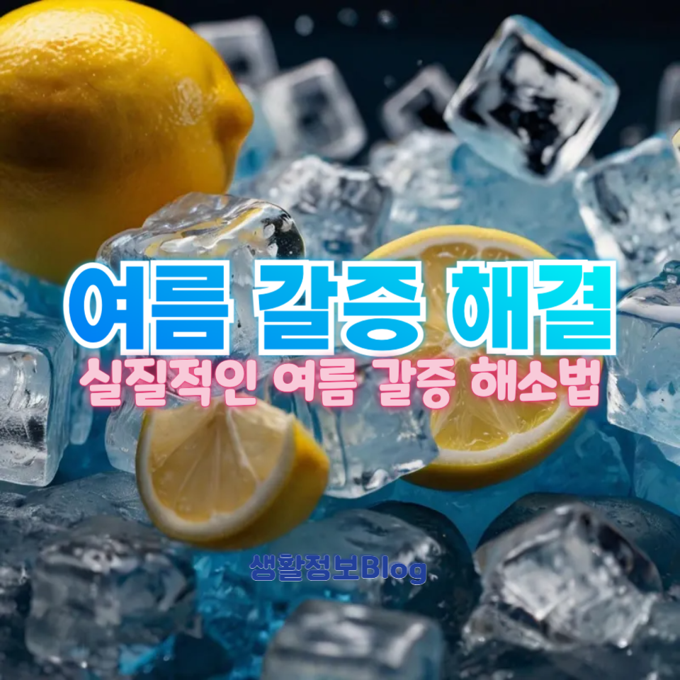 여름 갈증 해결