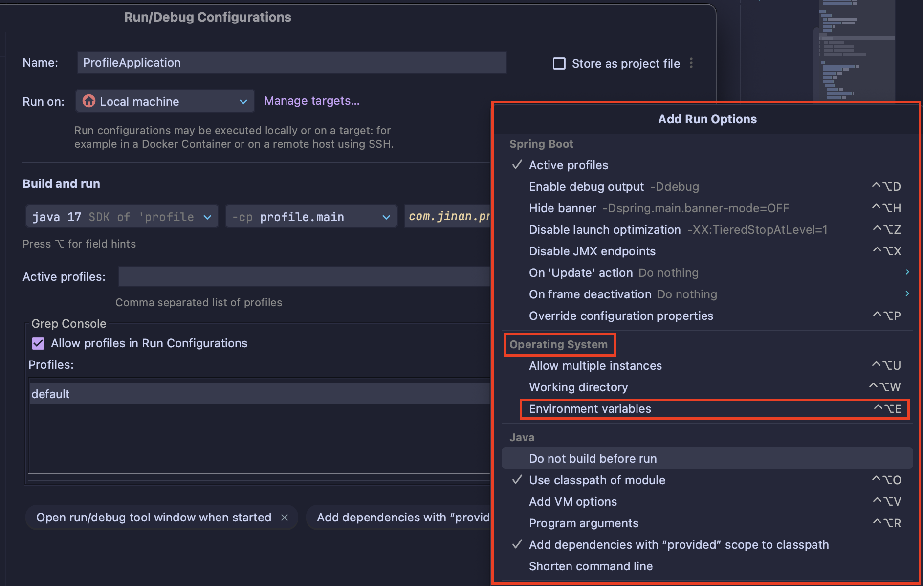 tomcat Environment variables 옵션