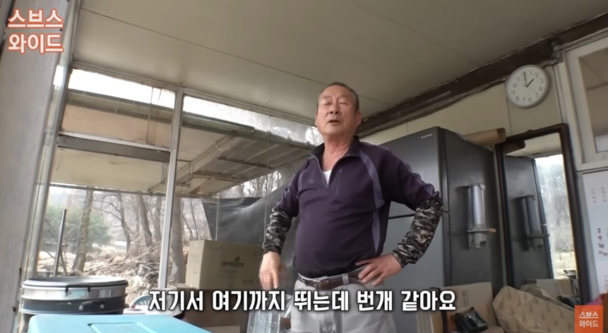 타조의 발견 가능성