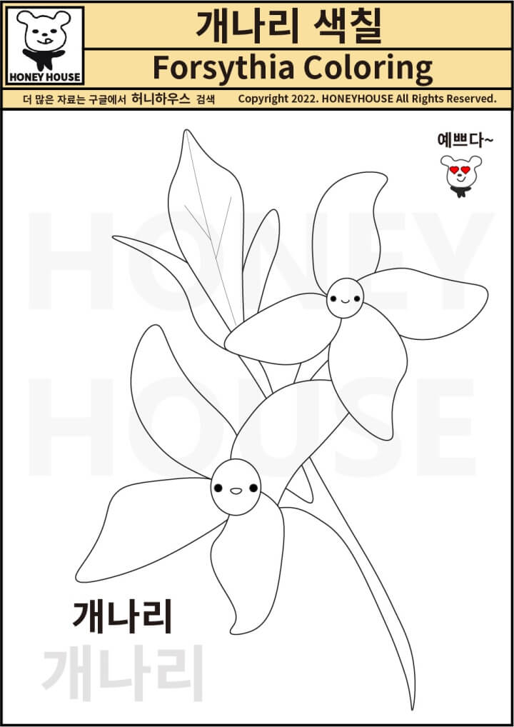 개나리 색칠