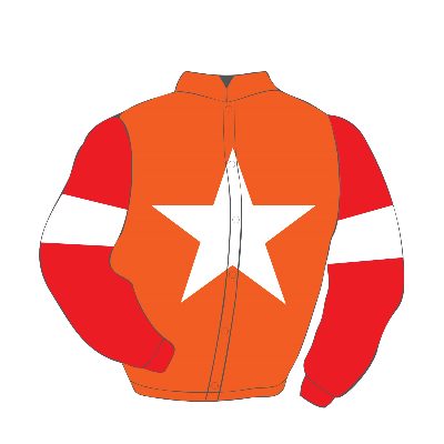 마사일호 경마 게이트별 기수 모자 색상과 마주 복색