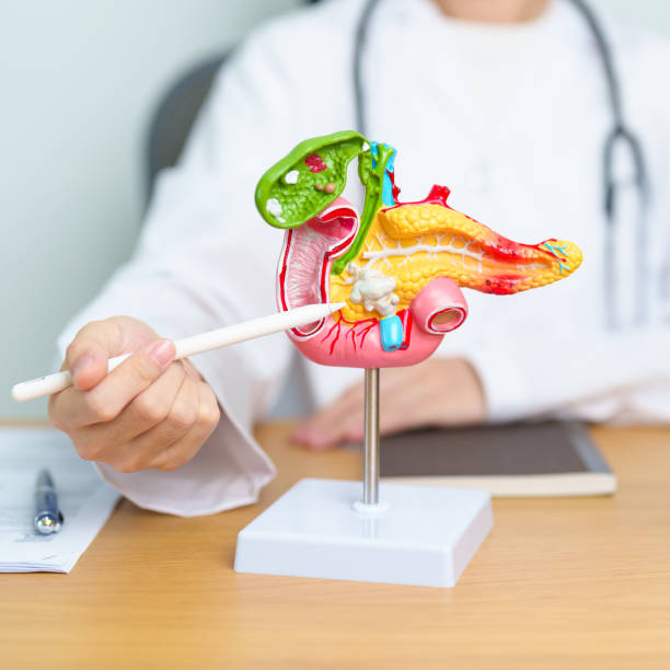 담낭염의 증상, 원인, 치료 알아보기