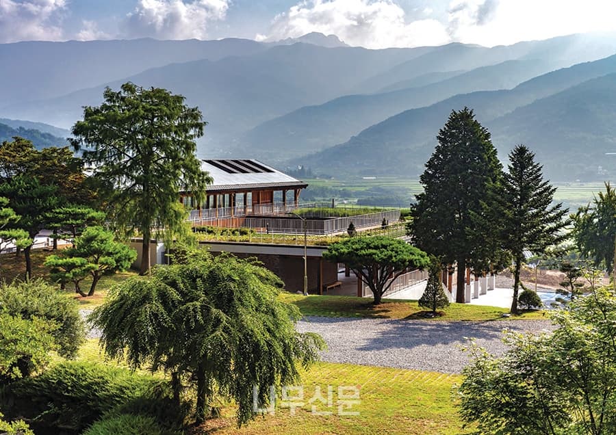 햇볕에 탄 피부를 회복하는 천연 요법