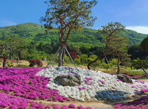 가산수피아