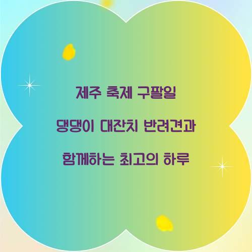 제주 축제 구팔일 댕댕이 대잔치