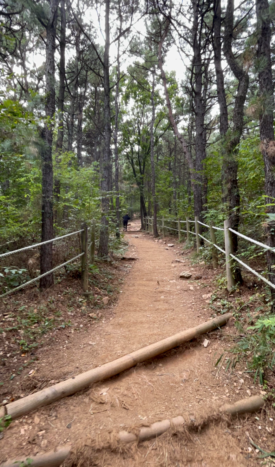 광명 구름산 가을산행 코스