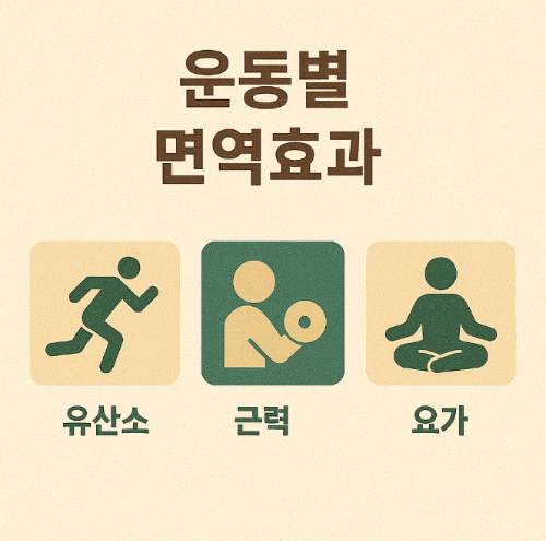 운동별 면역효과 (유산소, 근력, 요가)