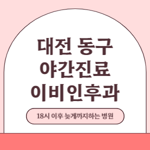 대전 동구 야간진료 이비인후과 병원 (18시 이후 늦게까지하는 병원)