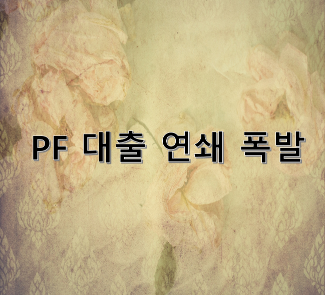 PF 대출 연쇄 폭발