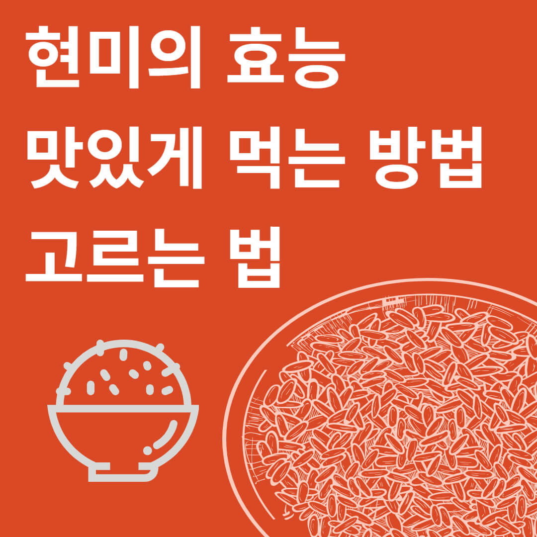 영양소 가득 통곡물 현미의 효능과 맛있게 먹는 방법