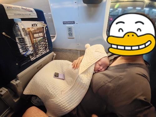 신생아KTX타고수원가는길