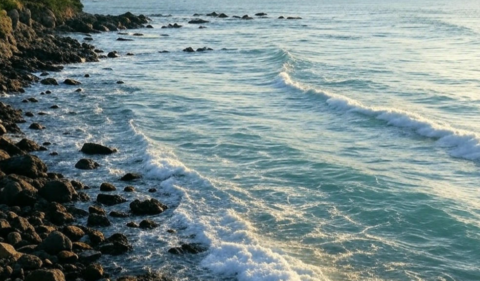 충남 태안에서 맨발 걷기 하기 좋은 곳 Top 3