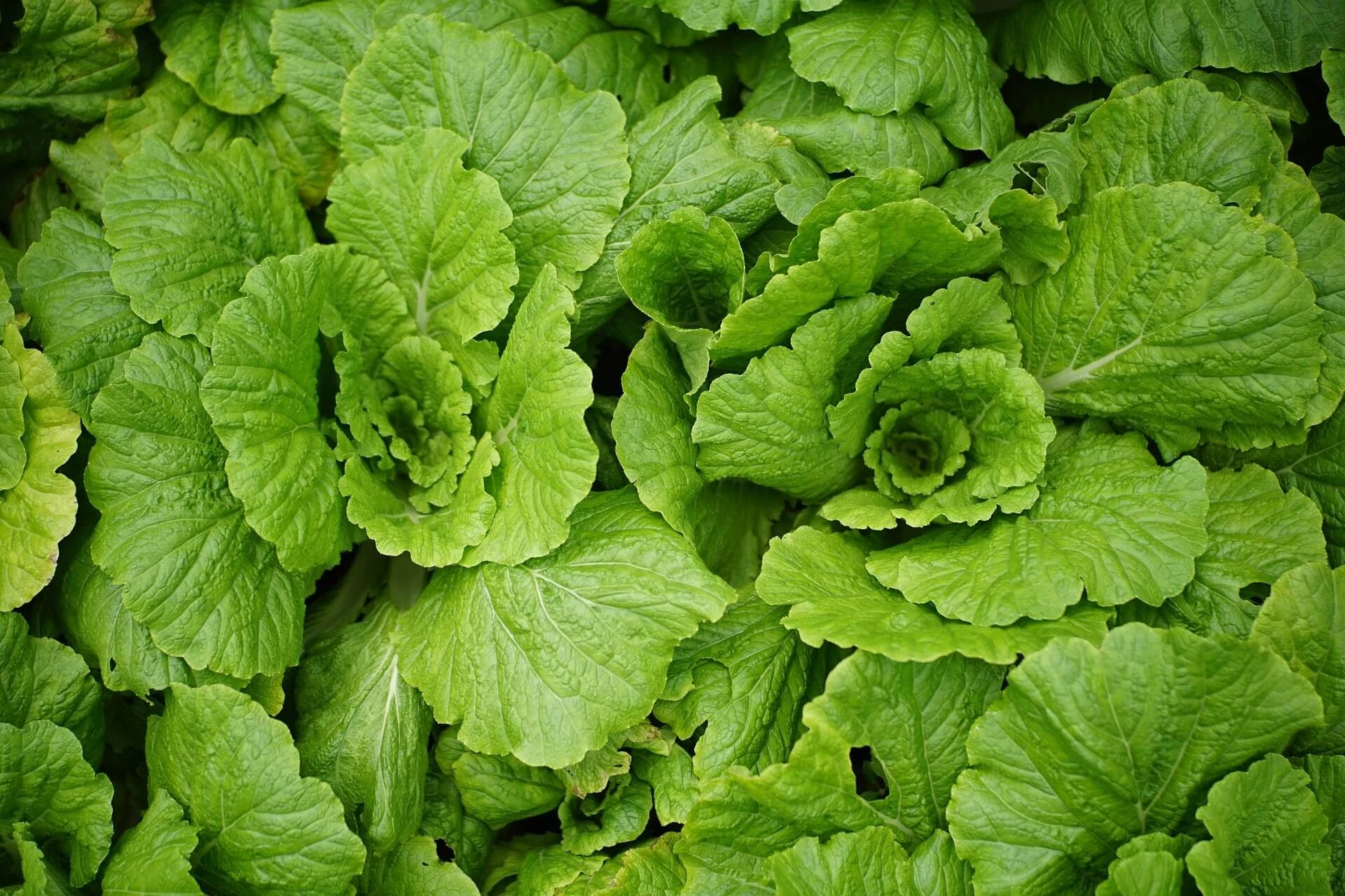 집중 명상이 전전두엽에 미치는 생리적 변화