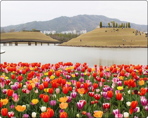 순천 정원박람회 입장료