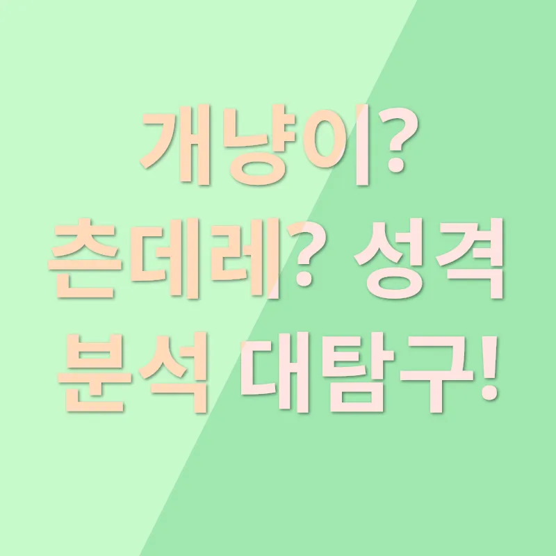 곱슬고양이_2