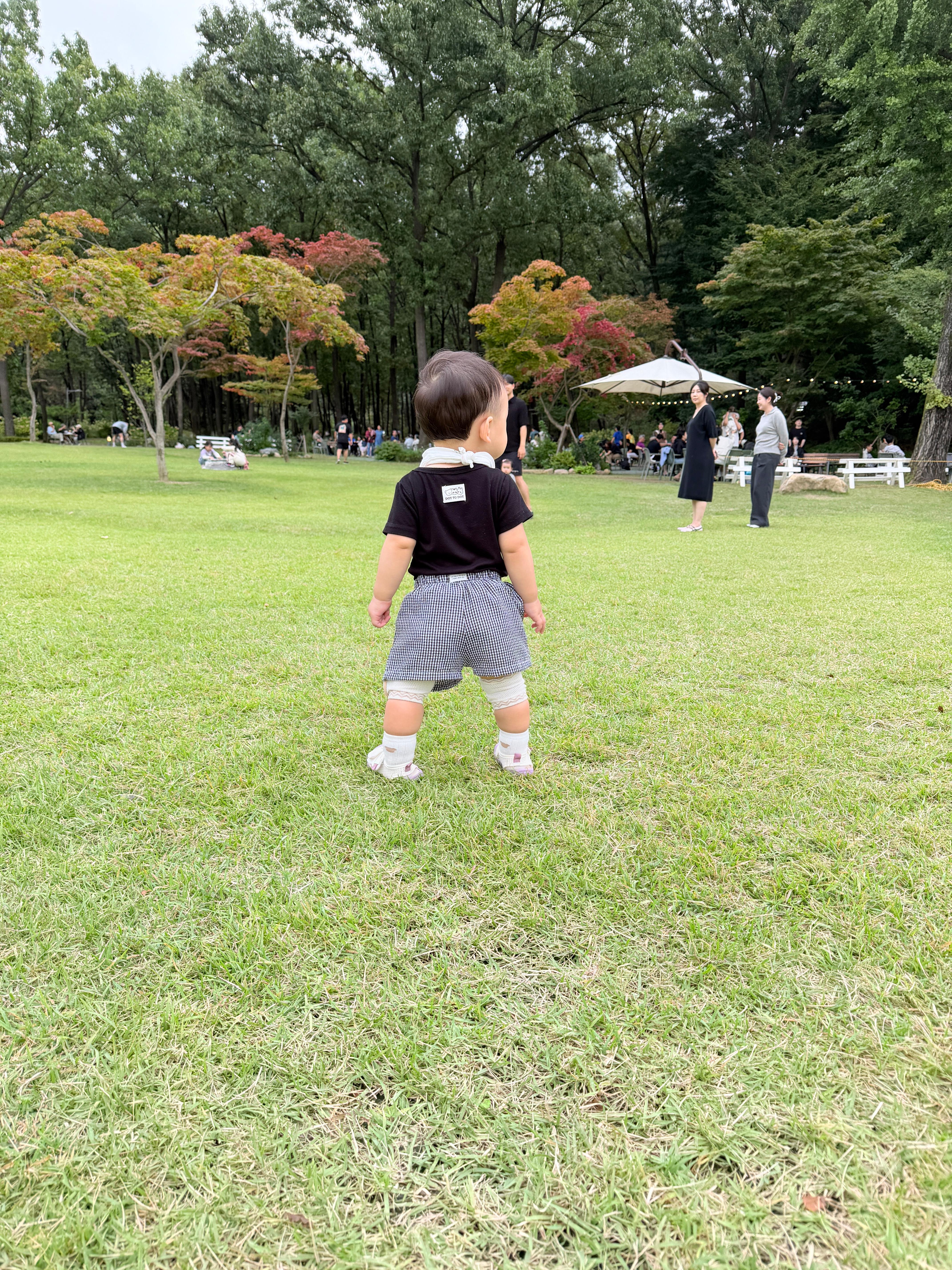 파크프리베 잔디밭에서 사람들 구경하고 있는 아기 솔블리