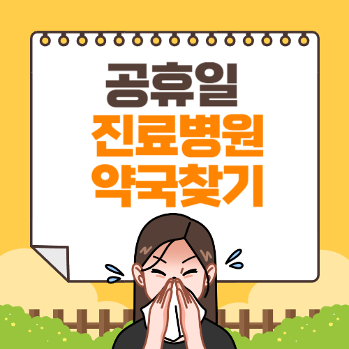 공휴일 진료병원, 약국찾기