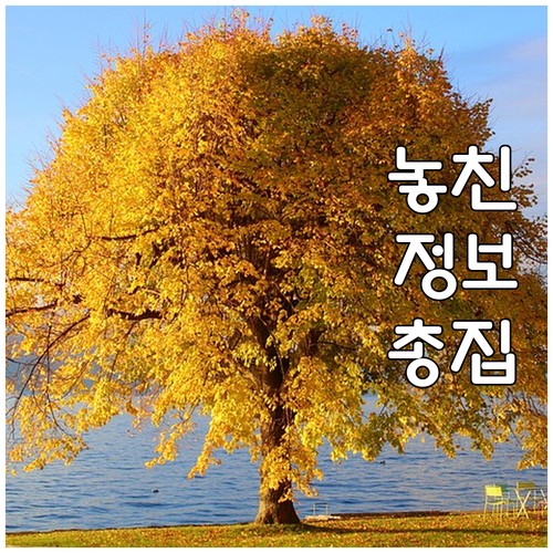 워킹대디 필독! 2025 광양시 아빠..