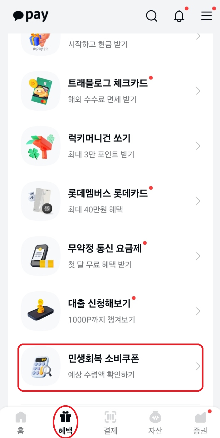 민생회복 소비쿠폰 예상 수령액 확인