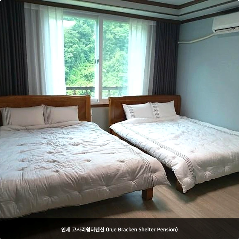 인제 고사리쉼터펜션 (Inje Bracken Shelter Pension)_1