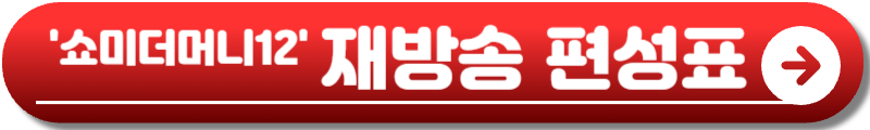 쇼미더머니12