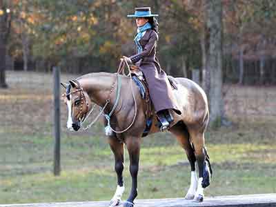 반안살 - 말 안장위에 올라타다