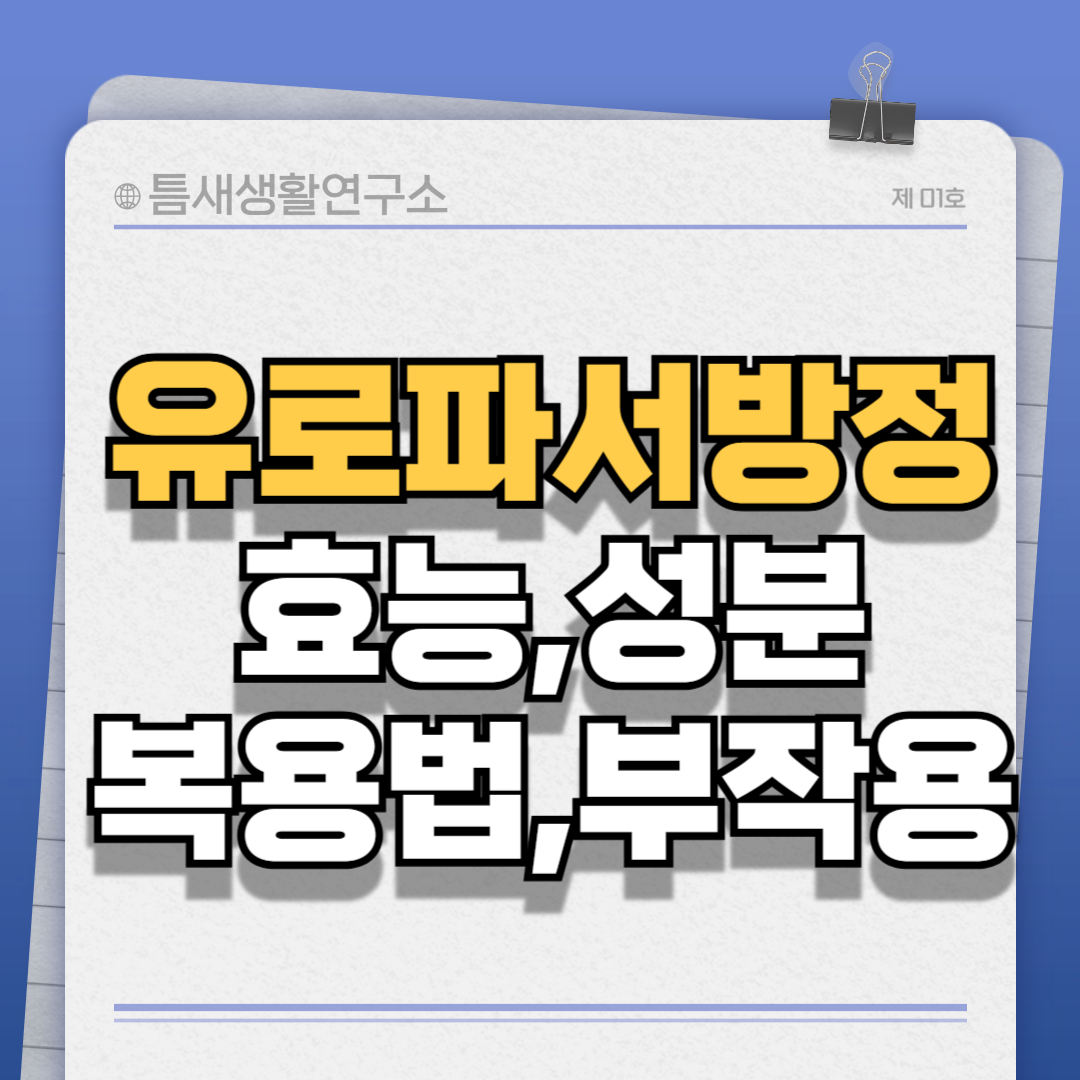 유로파서방정-썸네일