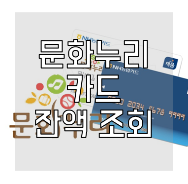 문화누리카드 잔액조회