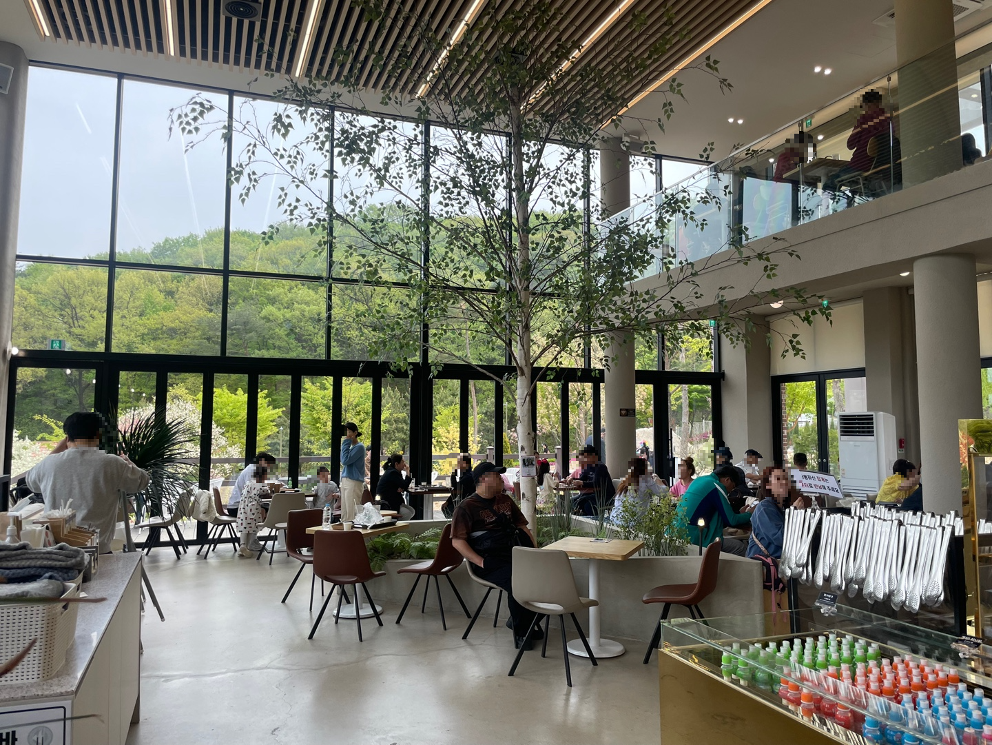 용인 자작나무숲 베툴라 대형 베이커피 카페