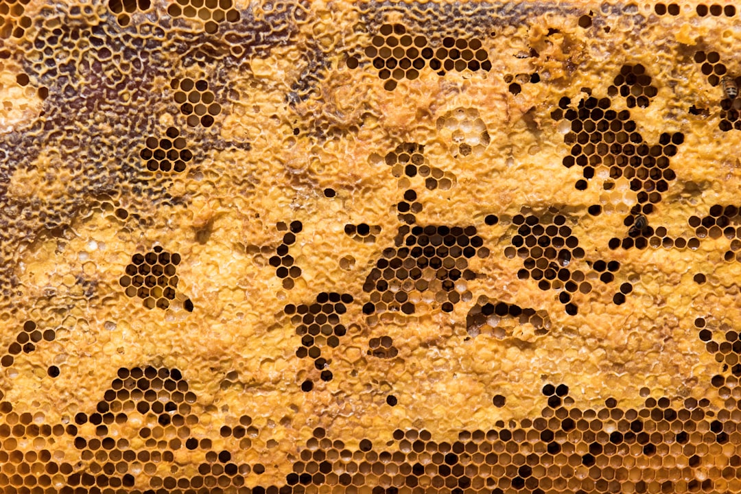 Honeycomb
