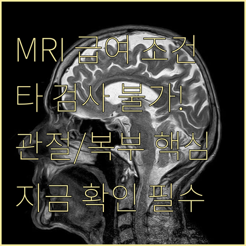 관절 복부 흉부 MRI 급여 '타 검..