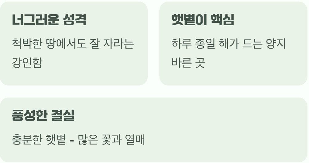 비결 1. 햇볕만 있다면 어디든 좋아요
