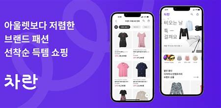 차란 관련 이미지