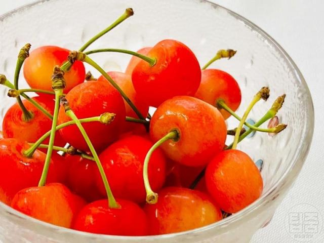 체리 씨 빼기 알아두면 좋은 생활지혜