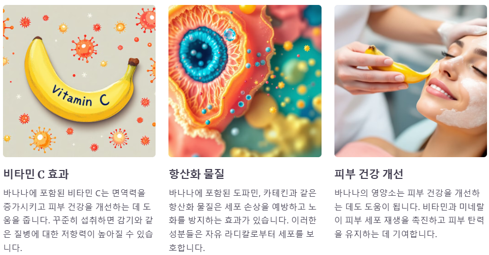 면역강화 노화방지