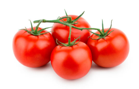 토마토 효능, 보관방법, 부작용 총정리 (2024ver)