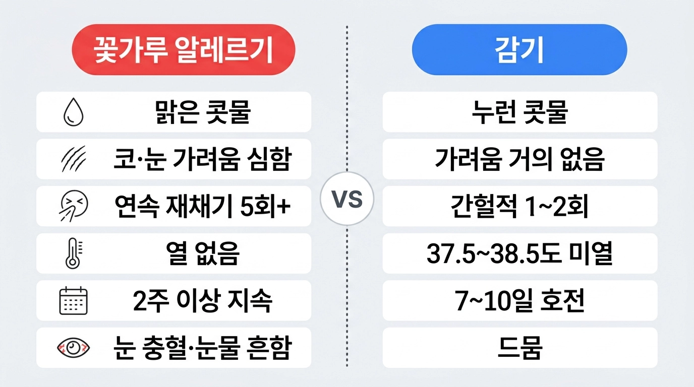 꽃가루 알레르기와 감기 증상 차이 비교 인포그래픽