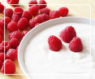 플레인 요거트 효능