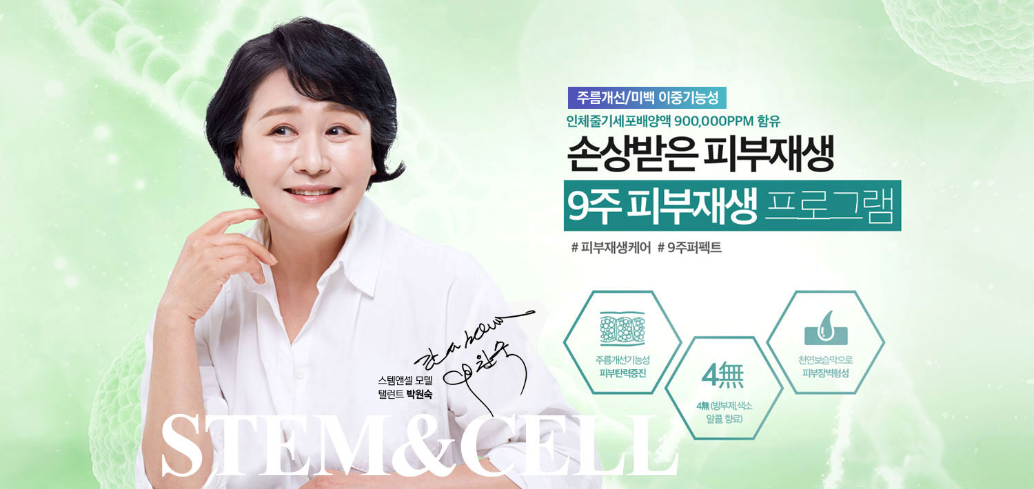 스템앤셀 가격 효능 사용 후기