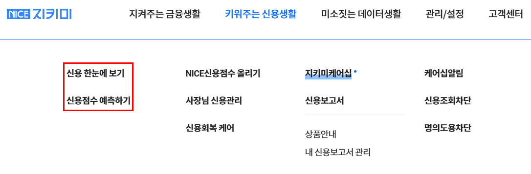 신용불량자 무료 확인방법(나이스지키미)