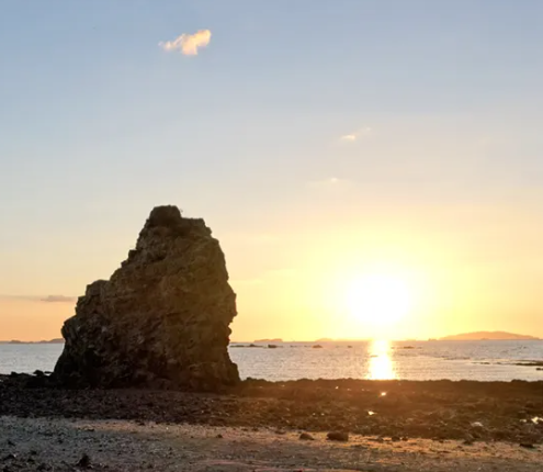 제부도 물때시간표