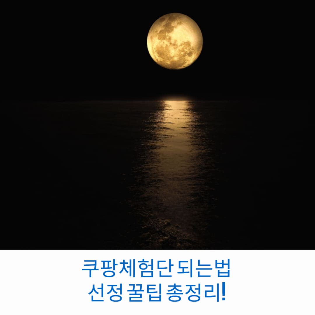 쿠팡체험단-되는법-선정-꿀팁-총정리-썸네일