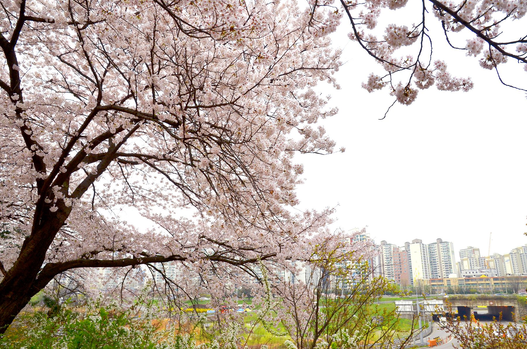 대한민국 숙박세일페스타