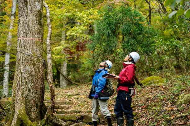 산림기사들이 헬멧을 쓰고 숲을 조사하는 모습