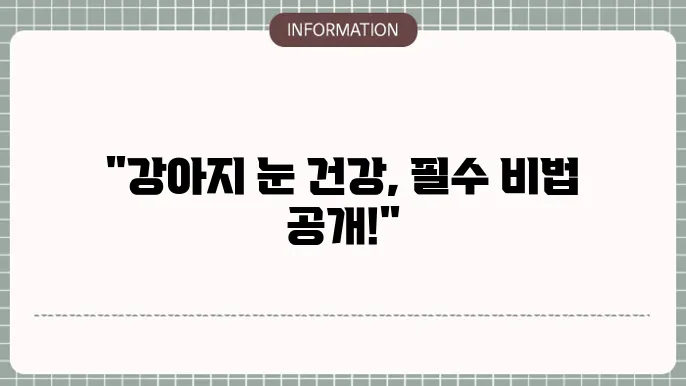 강아지 눈 영양제 추천