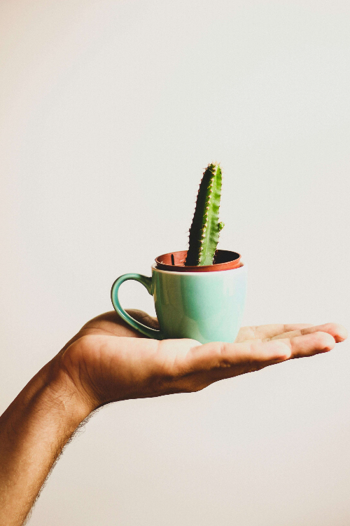 TAVI 수술 비용부터 회복까지