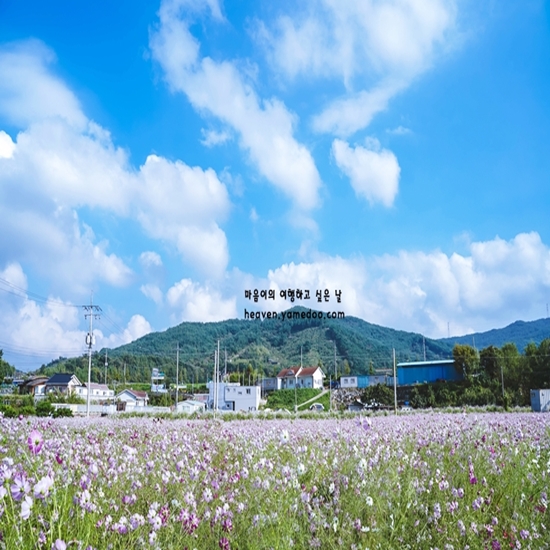9월에 가볼만한 국내 여행지