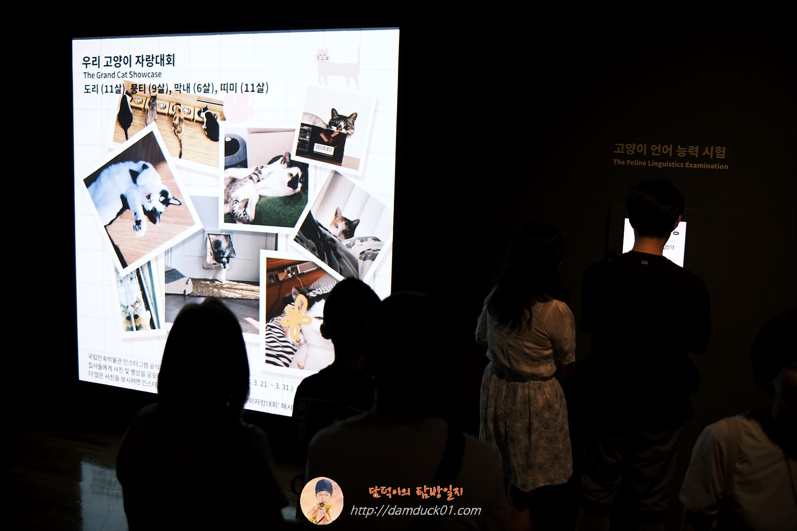 우리 동네 고양이